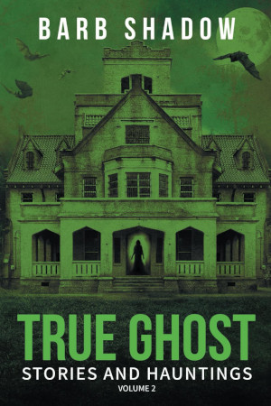 Cover of True Ghost Volume 2